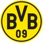 BVB